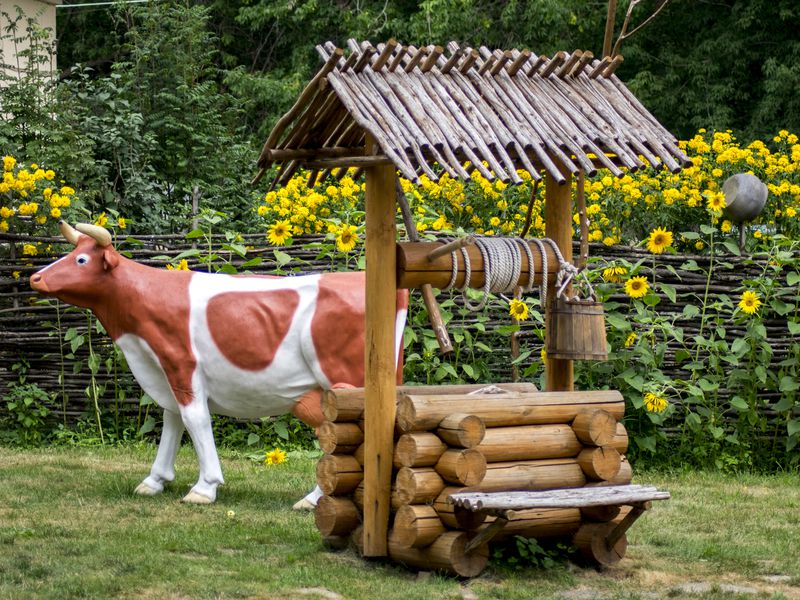 Малый Китеж, или Городец на Волге (12/13)
