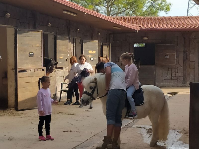 Подружиться с лошадьми в Анталье (12/12)