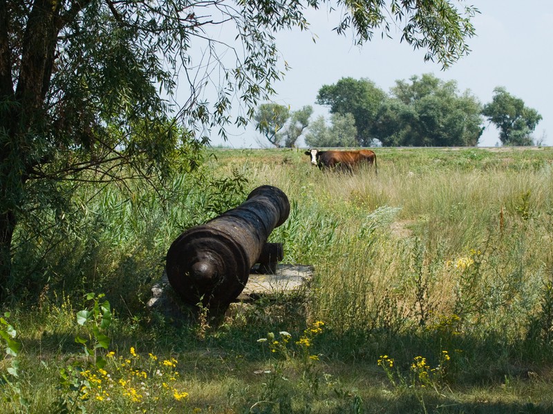 На теплоходе в Старочеркасск — столицу донского казачества (6/13)