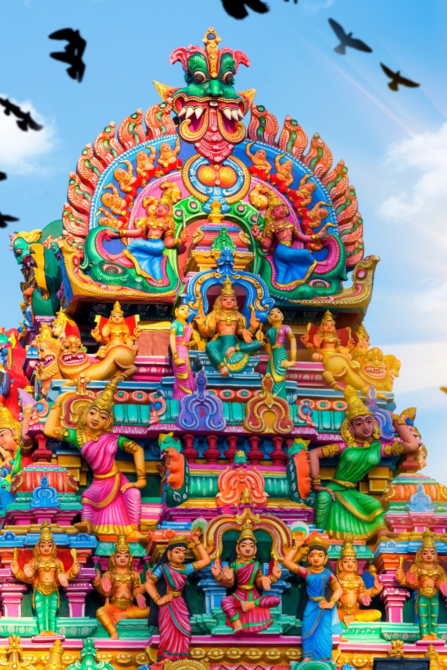 удайпур. индия большое путешествие. храм харидвар. нагаленд индия конфликт. дарджилинг жители.