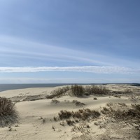 Фото отзыва 39: экскурсия "Куршская коса без толпы, Зеленоградск и замок Нессельбек на автобусе" Фото отзыва 39: экскурсия "Куршская коса без толпы, Зеленоградск и замок Нессельбек на автобусе"