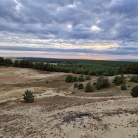 Фото отзыва 56: экскурсия "Куршская коса + Зеленоградск, Светлогорск и Янтарный" Фото отзыва 56: экскурсия "Куршская коса + Зеленоградск, Светлогорск и Янтарный"