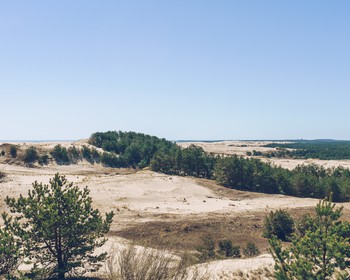 Фото 2 авторского тура - день 2 "Куршская коса, Зеленоградск и замок «Нессельбек»" Фото 2 авторского тура - день 2 "Куршская коса, Зеленоградск и замок «Нессельбек»"