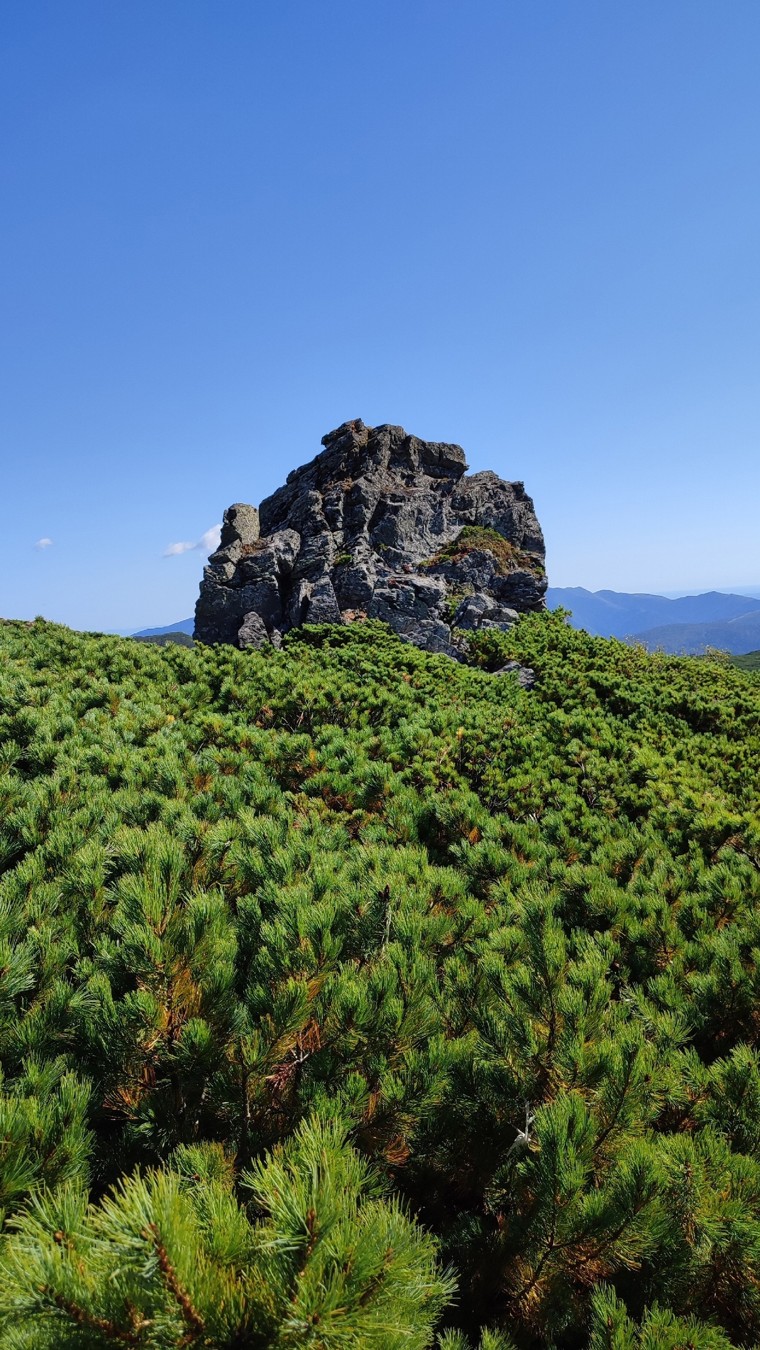 Подъём на пик Чехова: необыкновенный Сахалин с высоты (8/24)