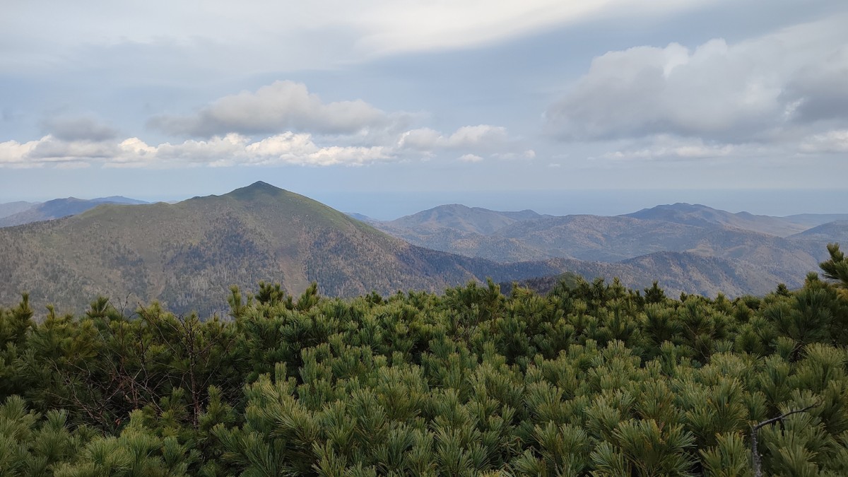 Подъём на пик Чехова: необыкновенный Сахалин с высоты (16/24)