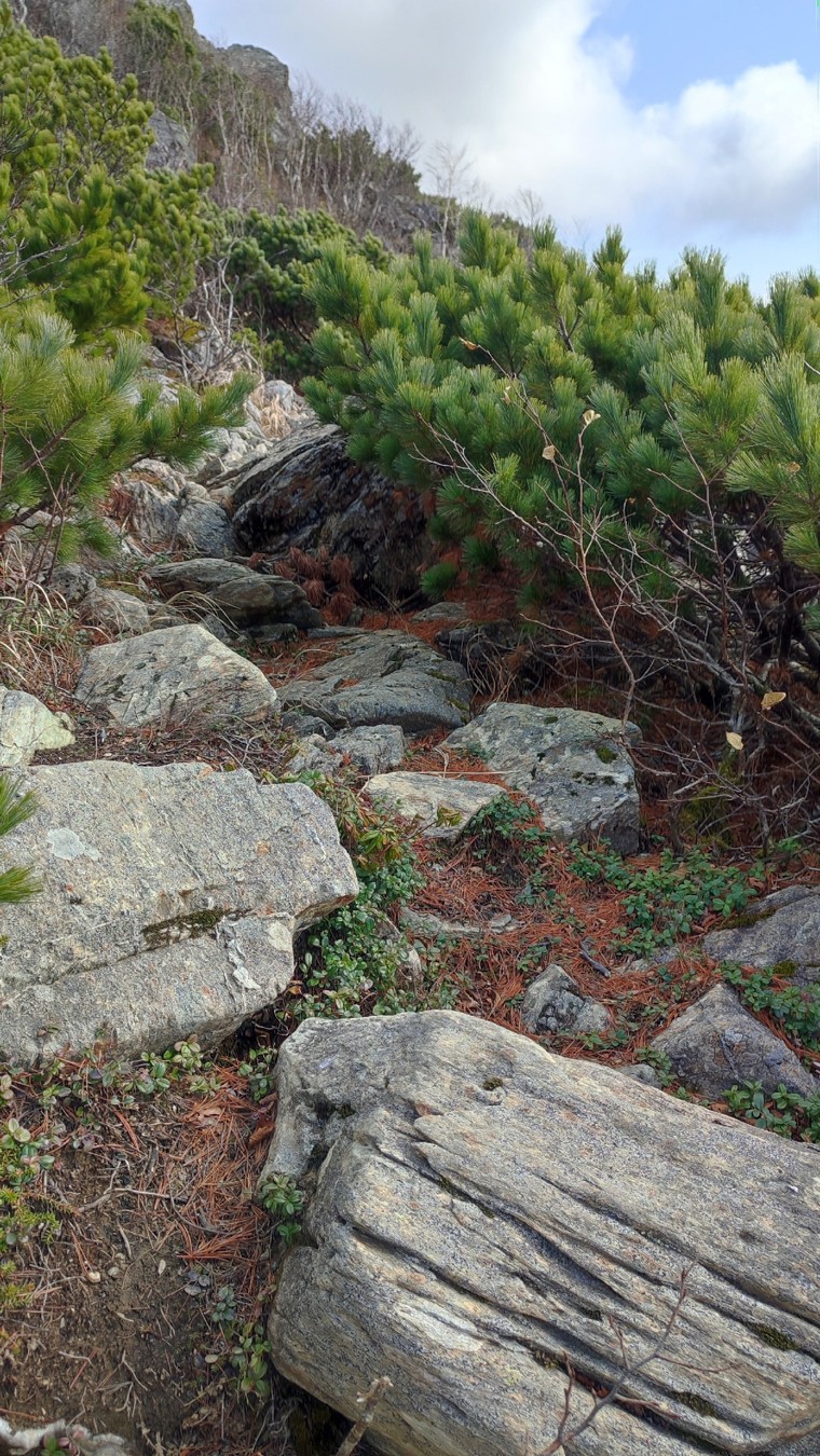 Подъём на пик Чехова: необыкновенный Сахалин с высоты (21/24)