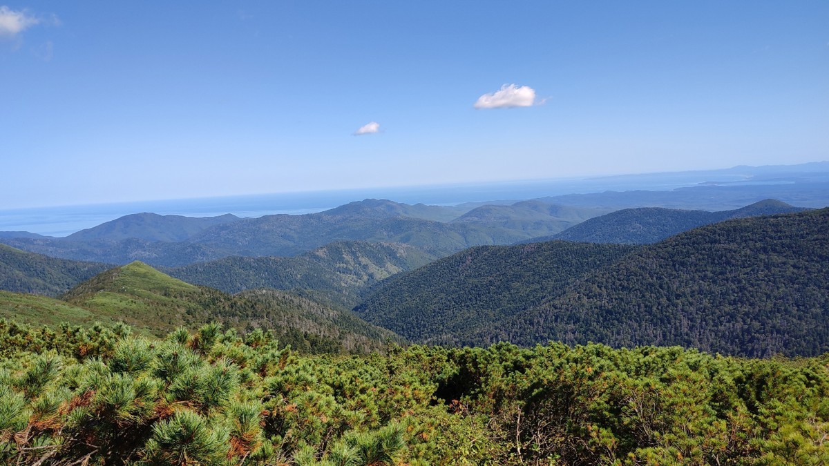 Подъём на пик Чехова: необыкновенный Сахалин с высоты (15/24)