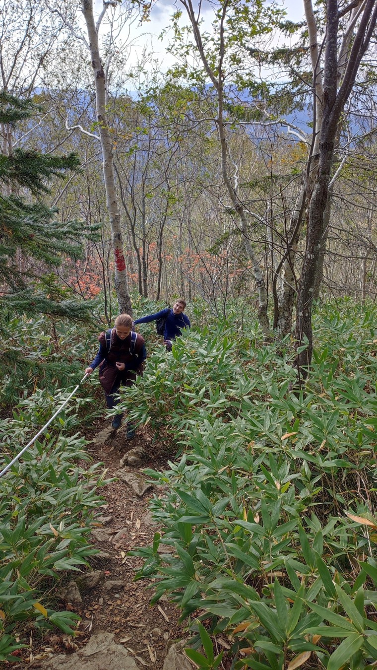 Подъём на пик Чехова: необыкновенный Сахалин с высоты (11/24)