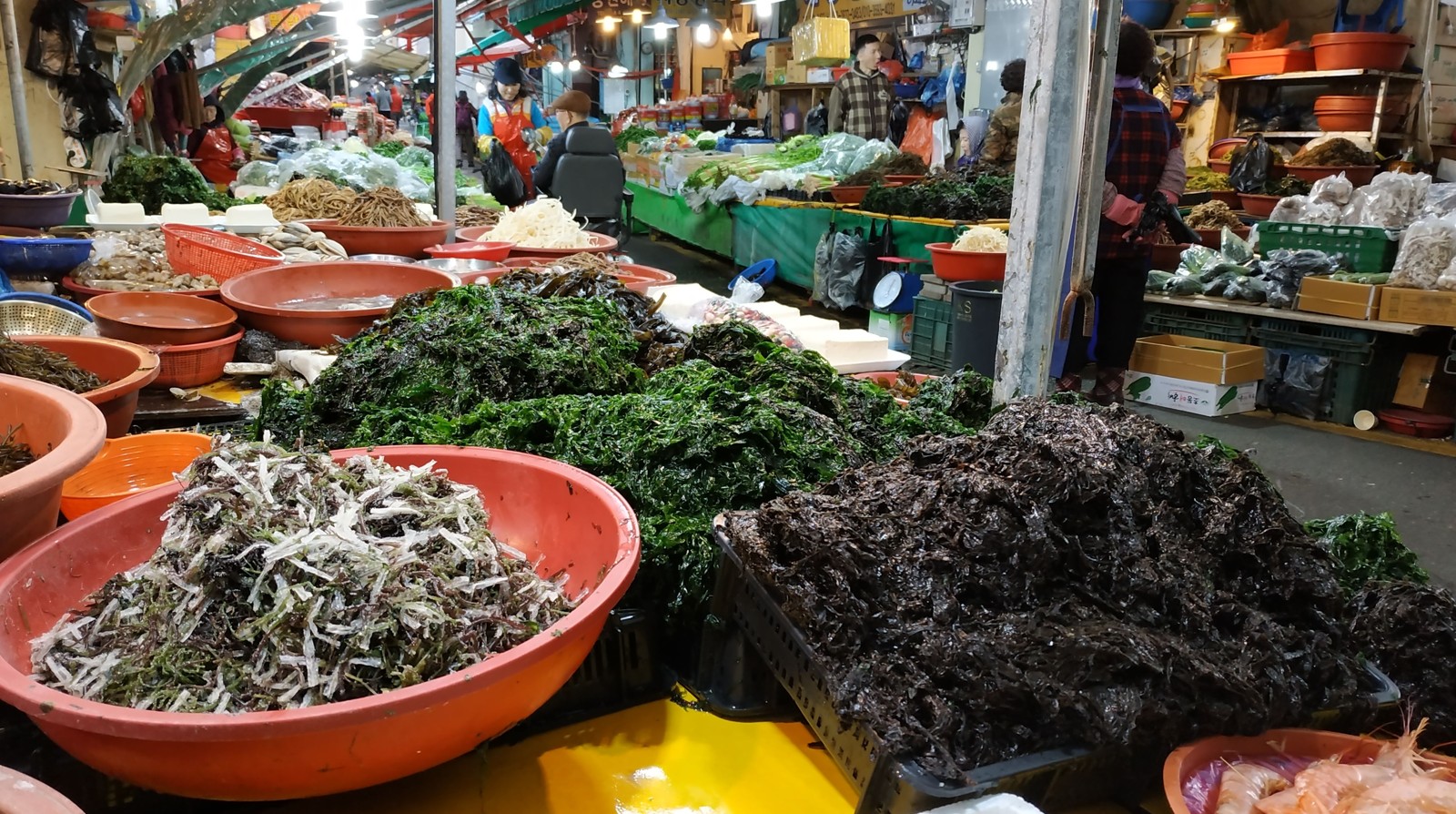 Путешествие по Южной Корее: 2 мегаполиса и курортные острова Чеджудо и Удо (7/7)