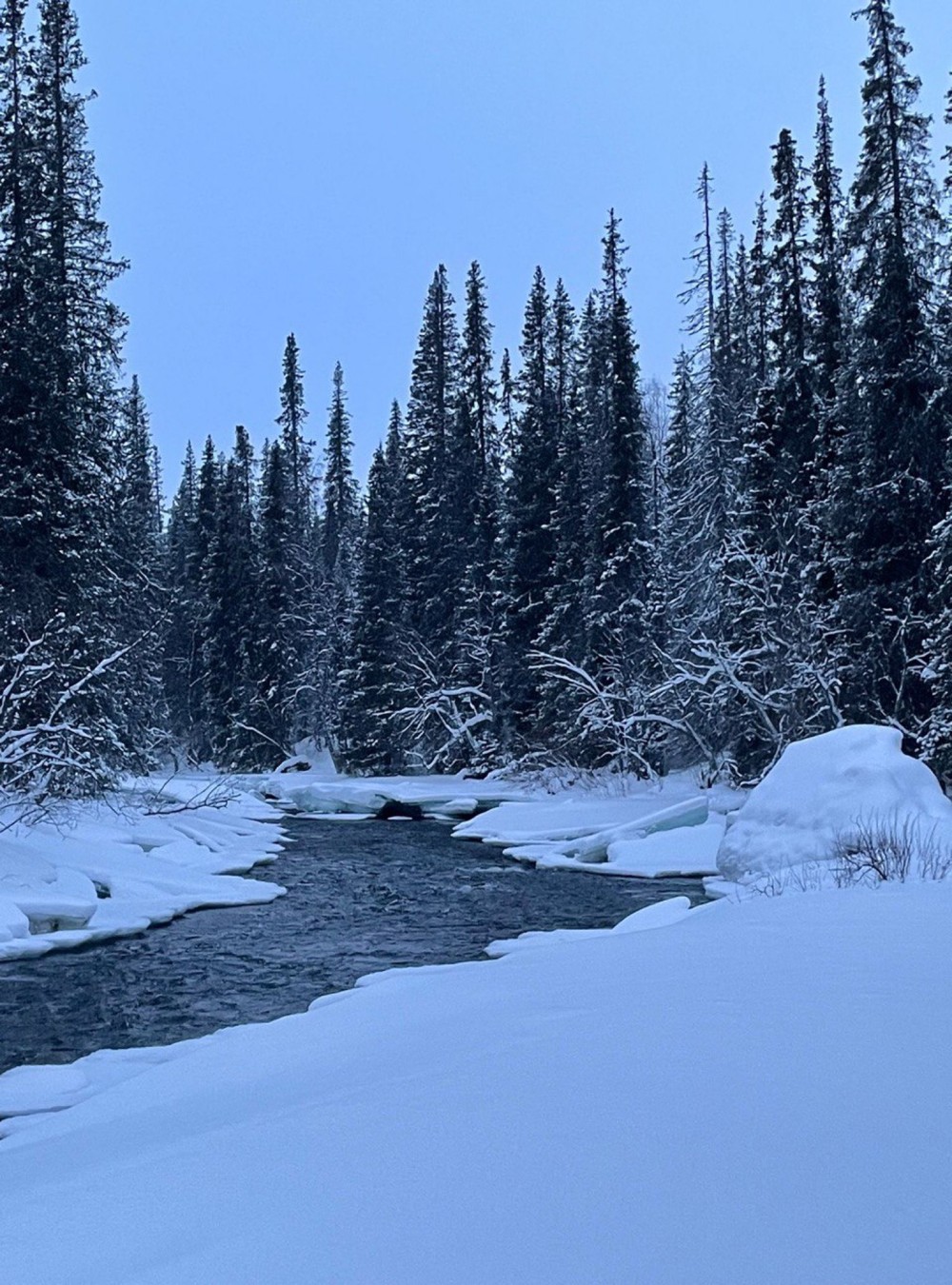 Ловозерские тундры и тайны Сейдозера: экскурсия в мини-группе (всё включено) (4/22)