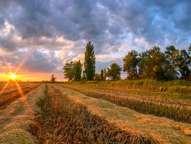 Фото 3 - Экскурсия: "Вулкан Шуго, грязевые ванны и конная прогулка" Фото 3 - Экскурсия: "Вулкан Шуго, грязевые ванны и конная прогулка"