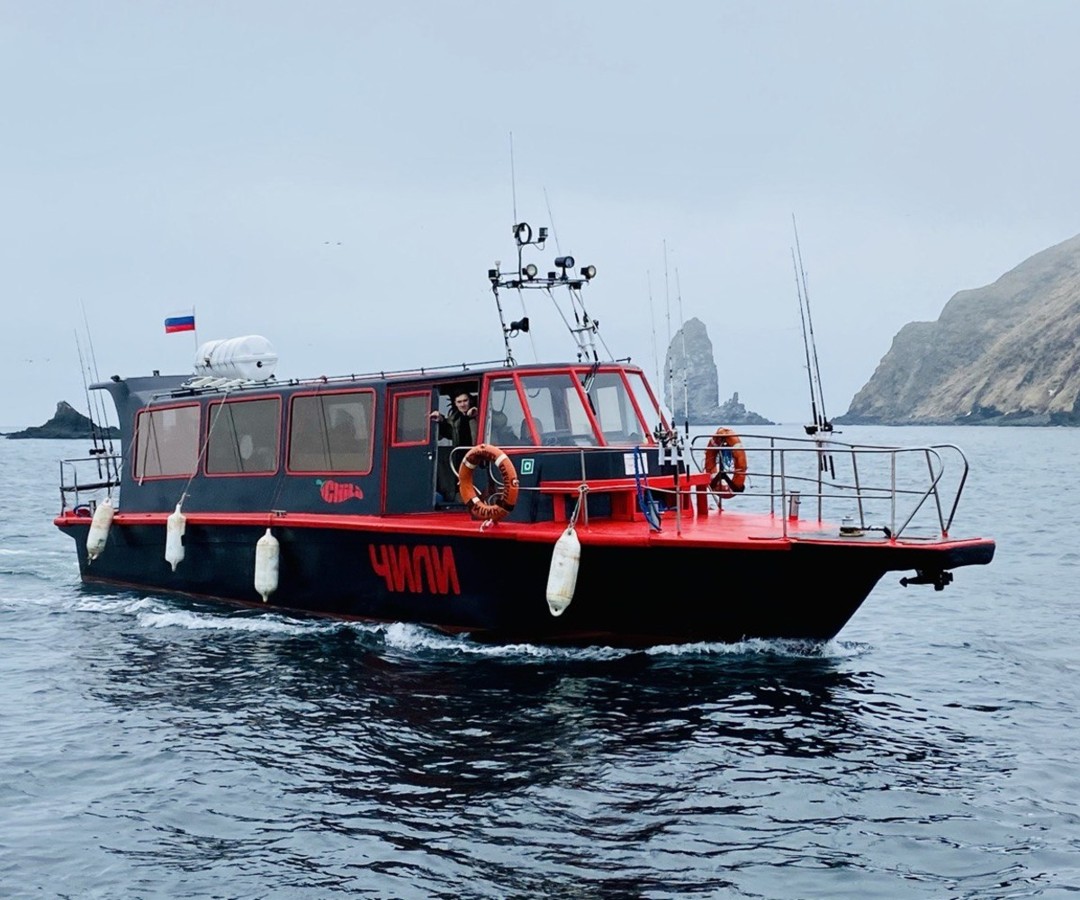 Путешествие на катере в бухту Русская + лежбище сивучей