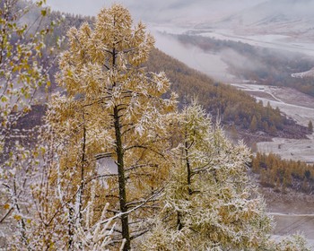 Фото 3 авторского тура - день 3 "Перевалы Чуйского тракта и Каракольская долина" Фото 3 авторского тура - день 3 "Перевалы Чуйского тракта и Каракольская долина"