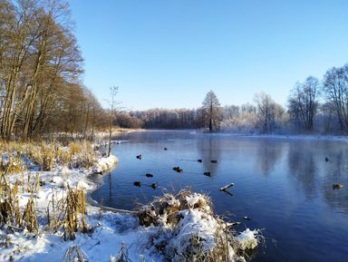 Фото 3 - Экскурсия: "Незамерзающие Голубые озера" Фото 3 - Экскурсия: "Незамерзающие Голубые озера"