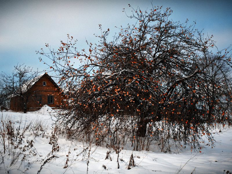 Легендарный монастырь и неоглядные дали в Мальской долине (4/7)