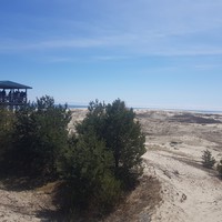 Фото отзыва 4: экскурсия "По Куршской косе и Зеленоградску в мини-группе" Фото отзыва 4: экскурсия "По Куршской косе и Зеленоградску в мини-группе"