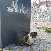 Фото отзыва 55: экскурсия "По Куршской косе и Зеленоградску в мини-группе" Фото отзыва 55: экскурсия "По Куршской косе и Зеленоградску в мини-группе"