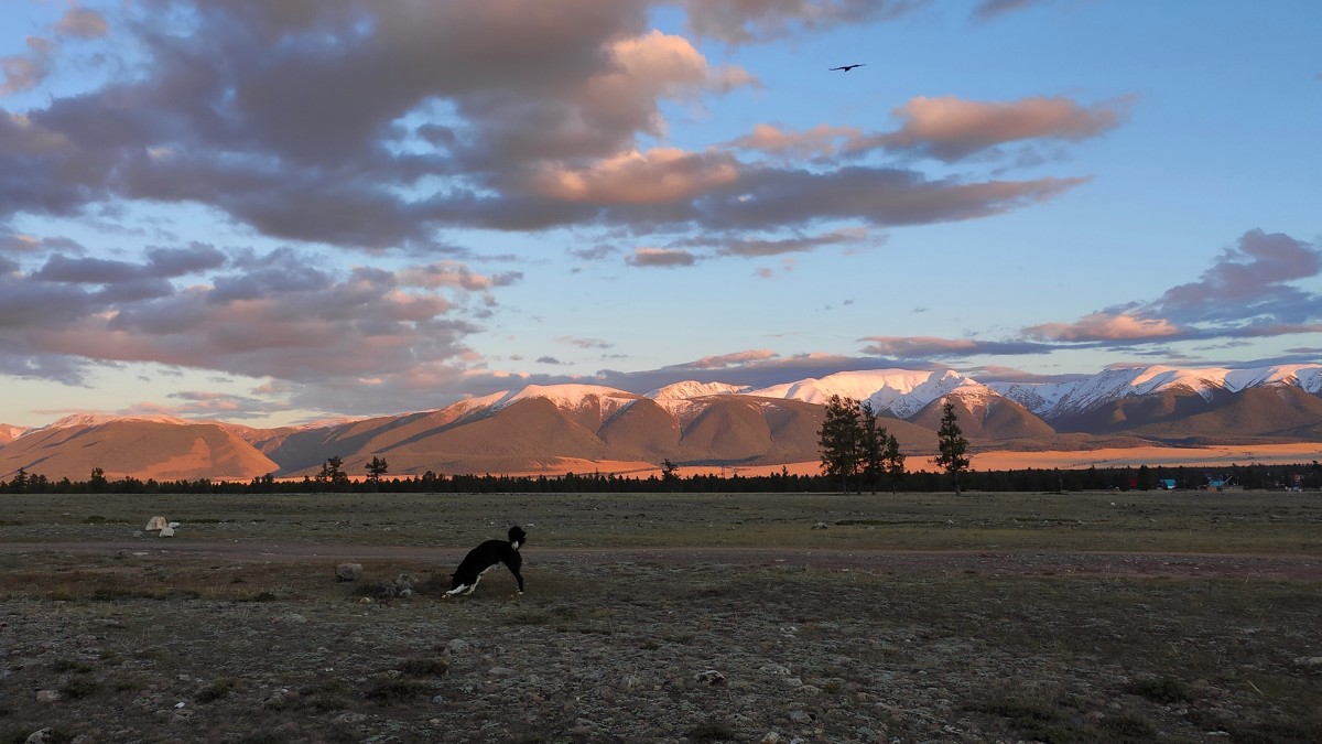 Экспресс-перезагрузка на Алтае: топ локаций, Манжерок и дикие места (5/15)