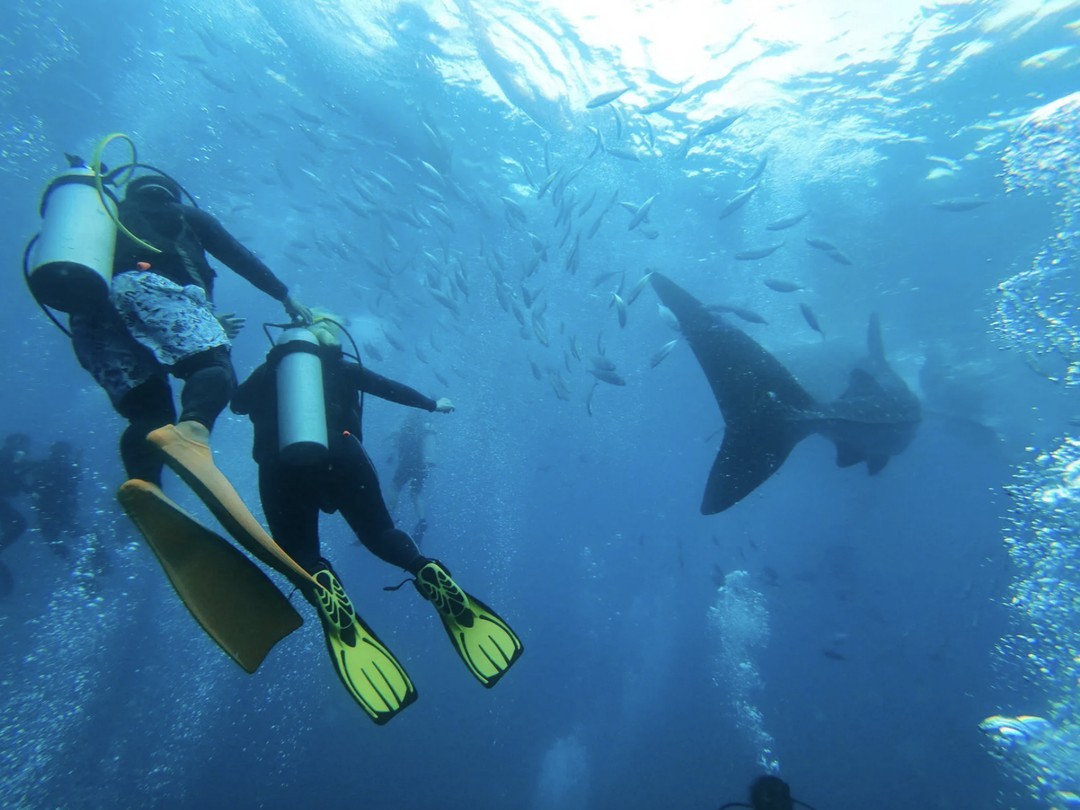 5 дней в райском уголке: путешествие-перезагрузка на Филиппины (5/9)