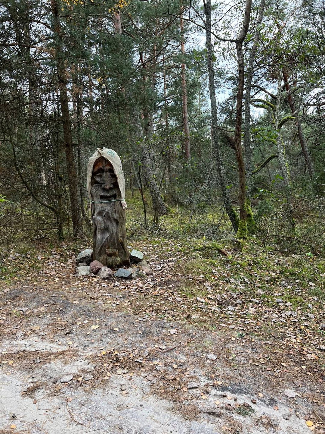 Куршская коса для детей и взрослых © цена и отзывы 2024 года • Travel Mania