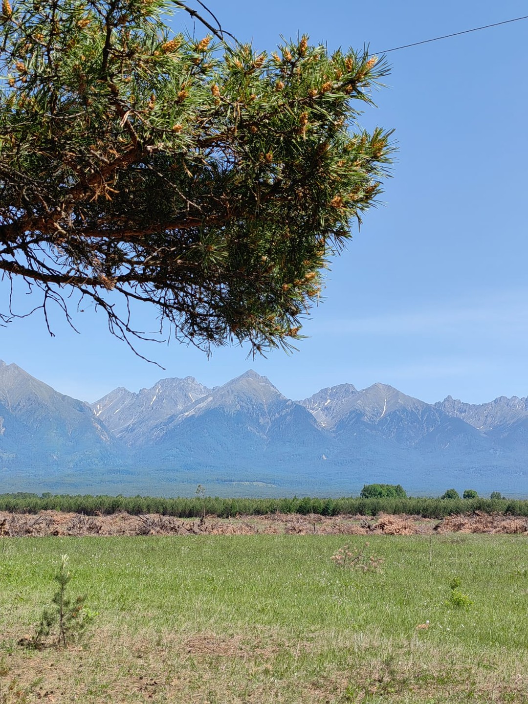 сибирь тибет