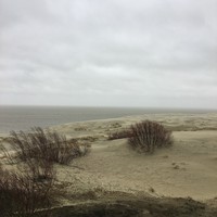 Фото отзыва 61: экскурсия "Куршская коса без толпы, Зеленоградск и замок Нессельбек на автобусе" Фото отзыва 61: экскурсия "Куршская коса без толпы, Зеленоградск и замок Нессельбек на автобусе"