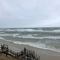 Фото отзыва 60: экскурсия "Куршская коса без толпы, Зеленоградск и замок Нессельбек на автобусе" Фото отзыва 60: экскурсия "Куршская коса без толпы, Зеленоградск и замок Нессельбек на автобусе"