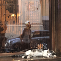 Фото отзыва 3: экскурсия "Старый город в деталях"