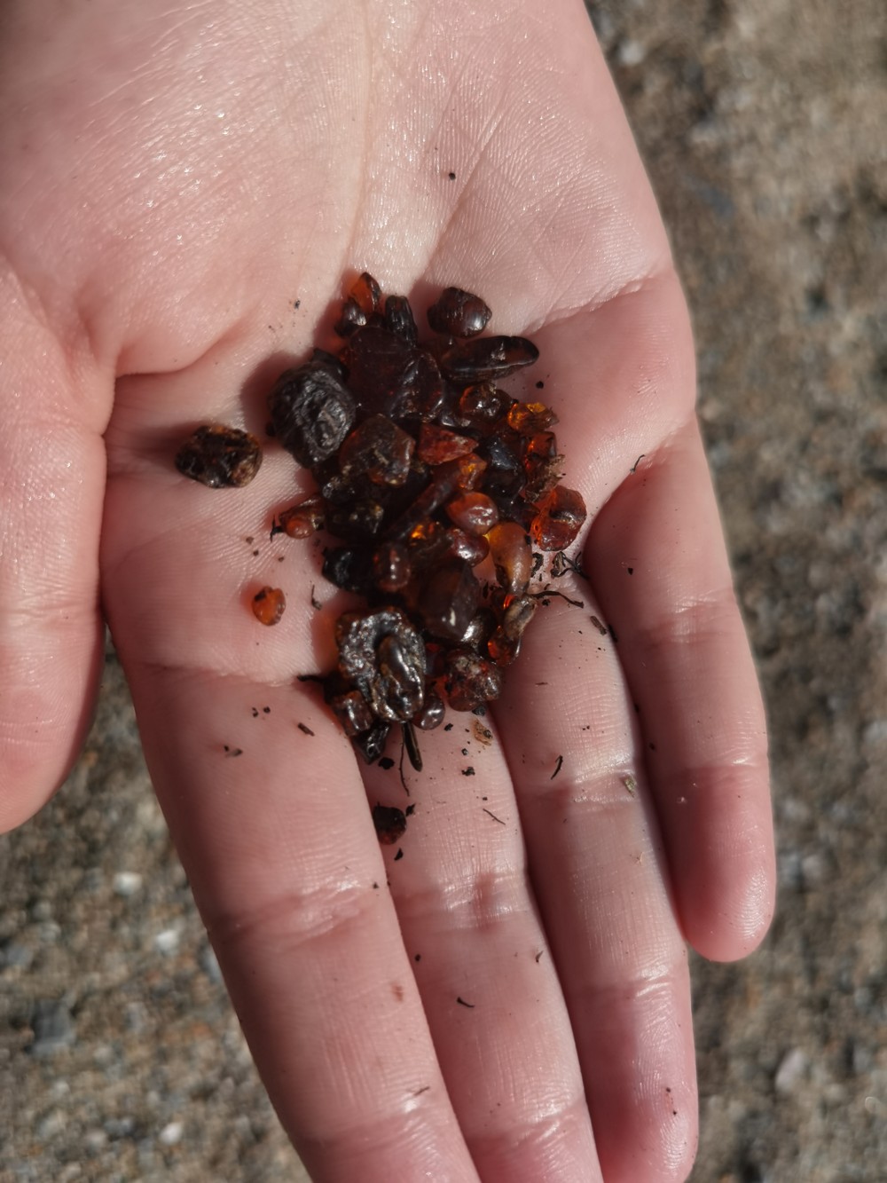 День в бухте Тихой: свидание с Охотским морем (8/8)