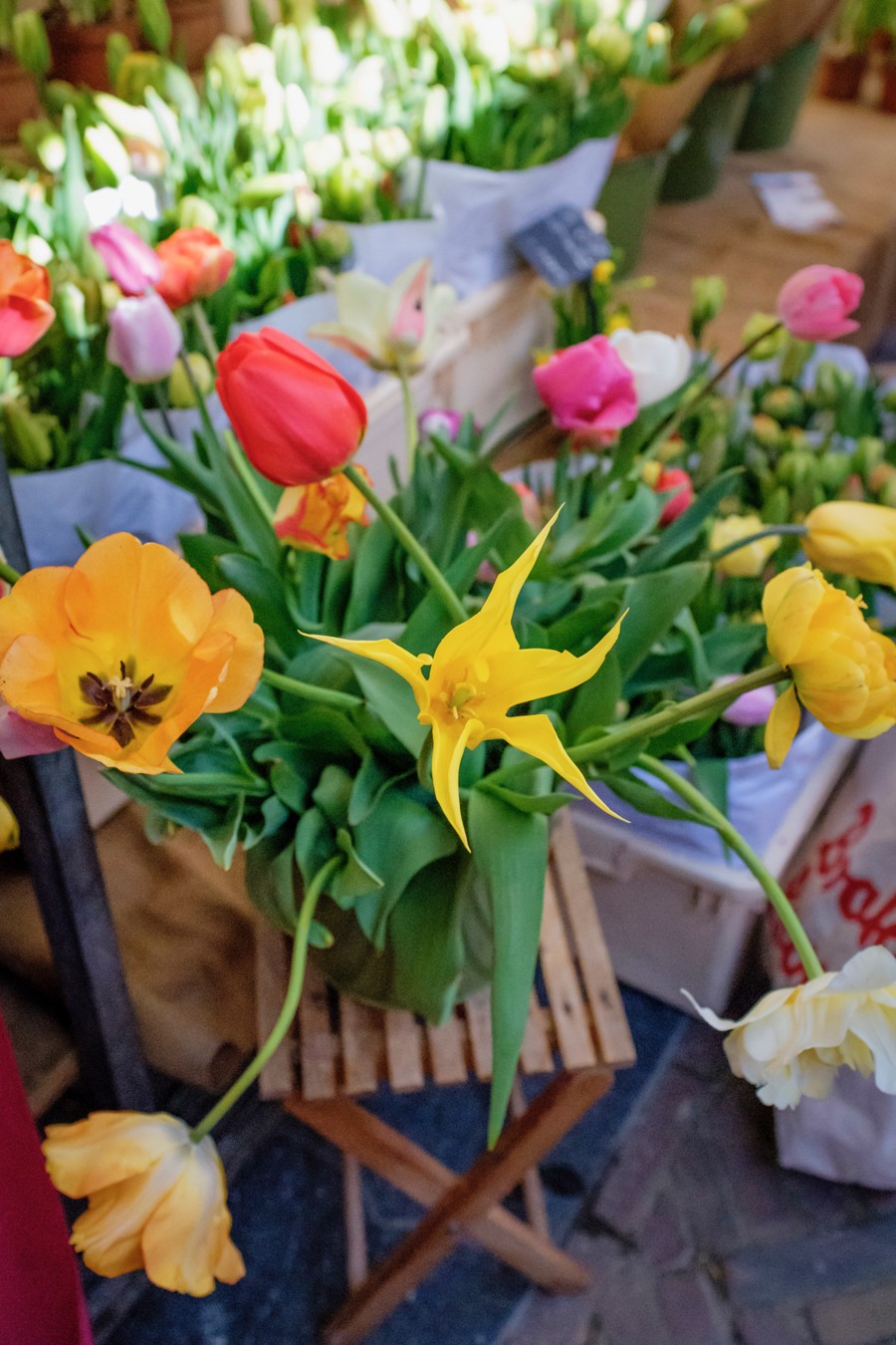 Амстердам для новичков (4/24)