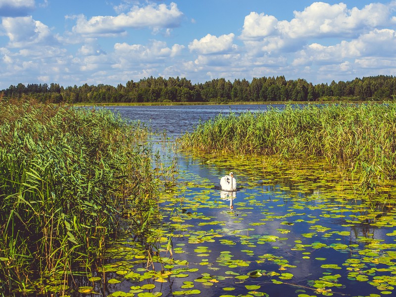 Из Пскова — в дивный Себеж и усадьбу Ореховно (11/15)
