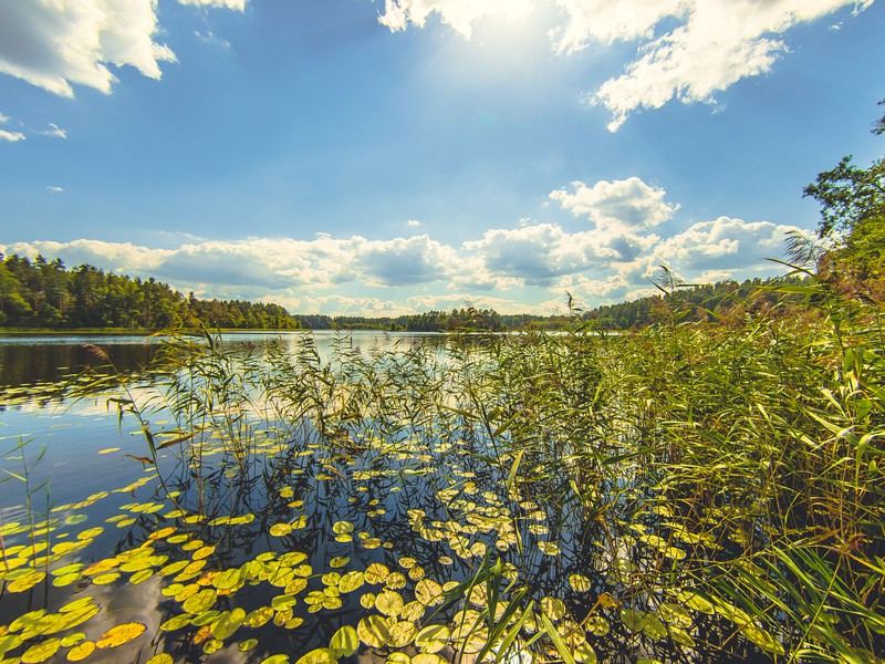 Из Пскова — в дивный Себеж и усадьбу Ореховно (15/15)