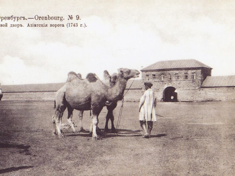 Добро пожаловать в Оренбург! (6/6)