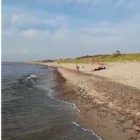 Фото отзыва 49: экскурсия "Куршская коса и Зеленоградск за один день" Фото отзыва 49: экскурсия "Куршская коса и Зеленоградск за один день"