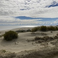 Фото отзыва 77: экскурсия "Куршская коса + Зеленоградск, Светлогорск и Янтарный" Фото отзыва 77: экскурсия "Куршская коса + Зеленоградск, Светлогорск и Янтарный"