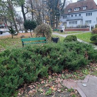 Фото отзыва 13: экскурсия "Вдохновляющий Амалиенау" Фото отзыва 13: экскурсия "Вдохновляющий Амалиенау"