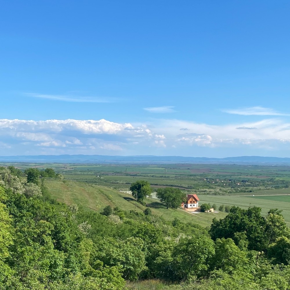 Уютный Вршац: из Белграда в мини-группе (9/11)