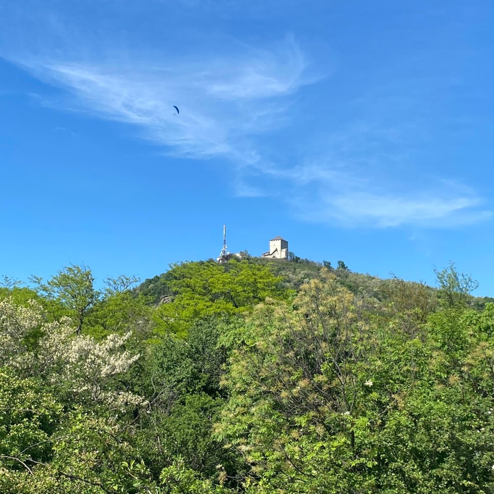 Уютный Вршац: из Белграда в мини-группе (6/11)