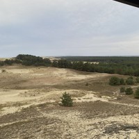 Фото отзыва 61: экскурсия "Куршская коса + Зеленоградск, Светлогорск и Янтарный" Фото отзыва 61: экскурсия "Куршская коса + Зеленоградск, Светлогорск и Янтарный"