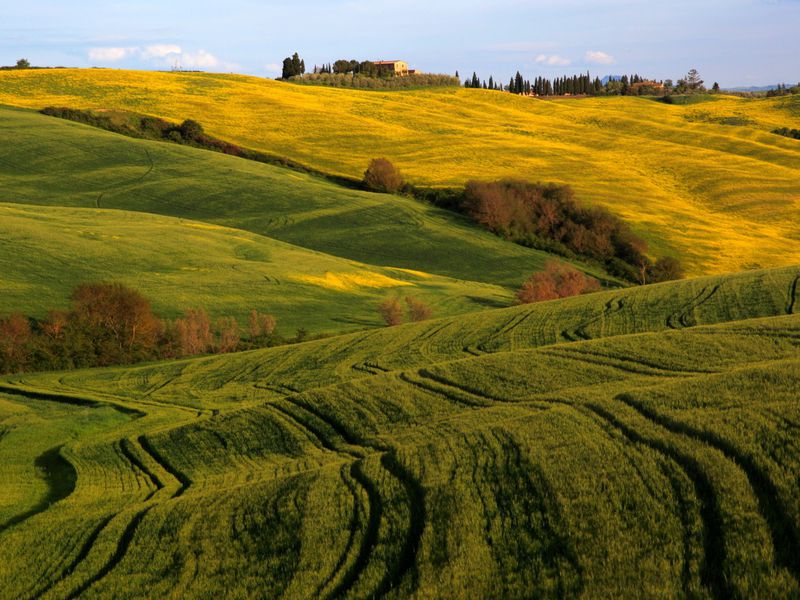 По Тоскане на кабриолете (из Флоренции) (9/12)