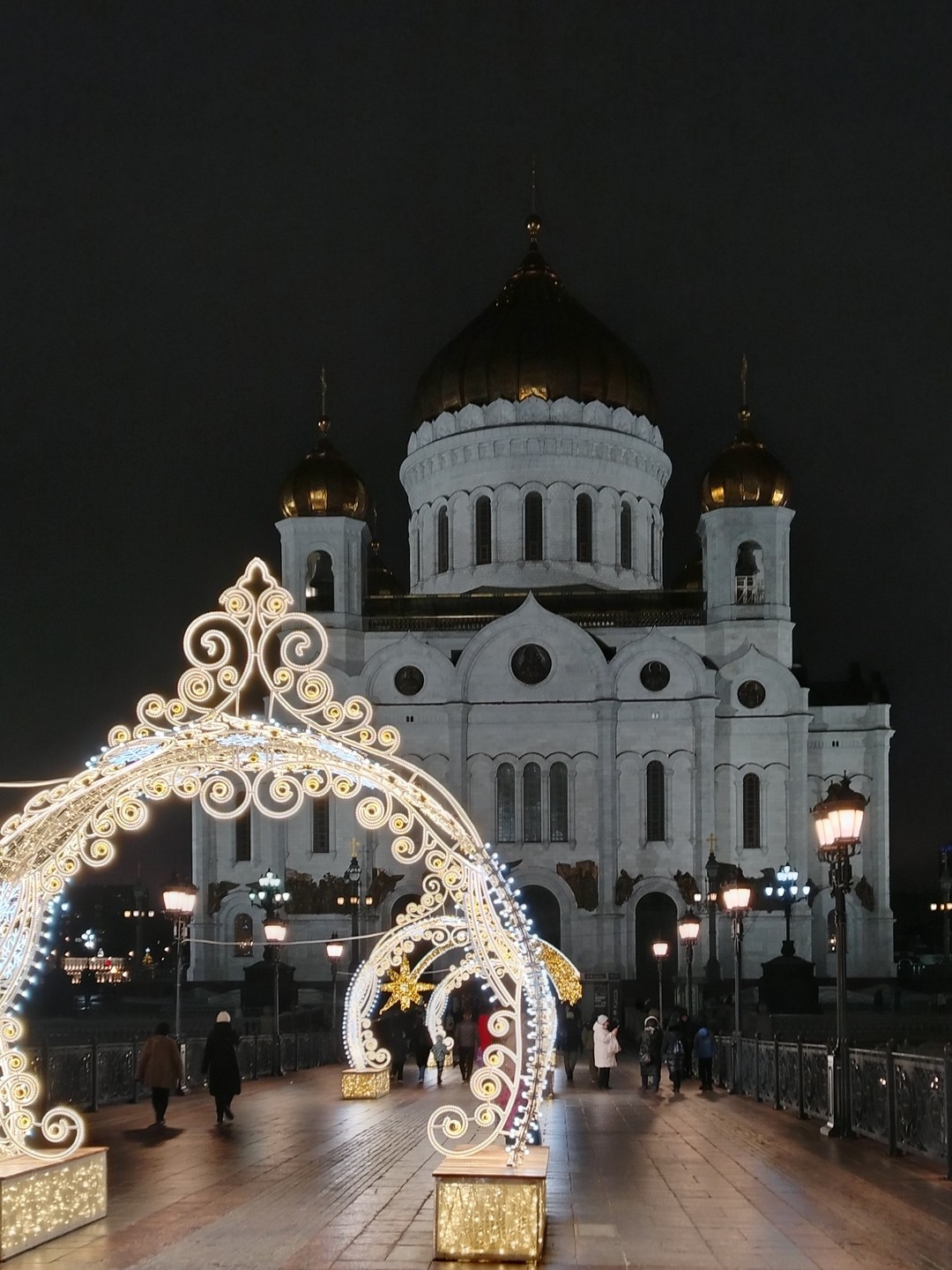 Новогодняя Москва: групповая автобусная экскурсия (Петрова)