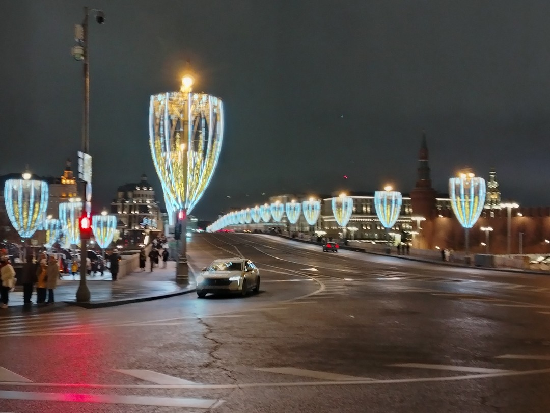 Новогодняя Москва: групповая автобусная экскурсия (Петрова)