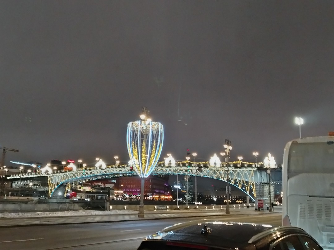 Новогодняя Москва: групповая автобусная экскурсия (Петрова)