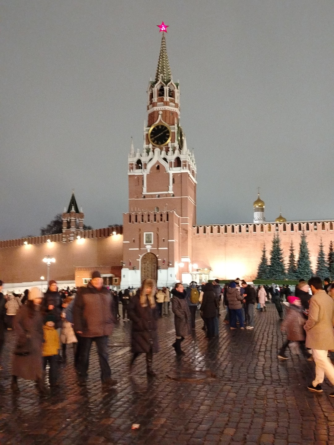 Новогодняя Москва: групповая автобусная экскурсия (Петрова)