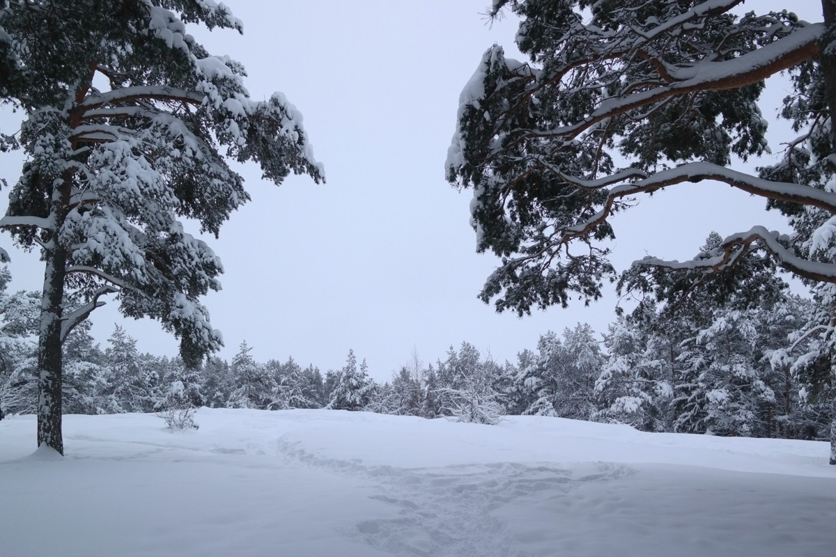 Новогодний маршрут из Петрозаводска: Чёртов стул + зимний пикник (8/8)