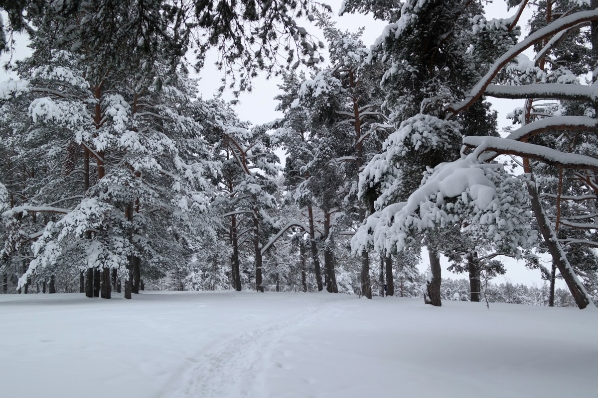 Новогодний маршрут из Петрозаводска: Чёртов стул + зимний пикник (4/8)