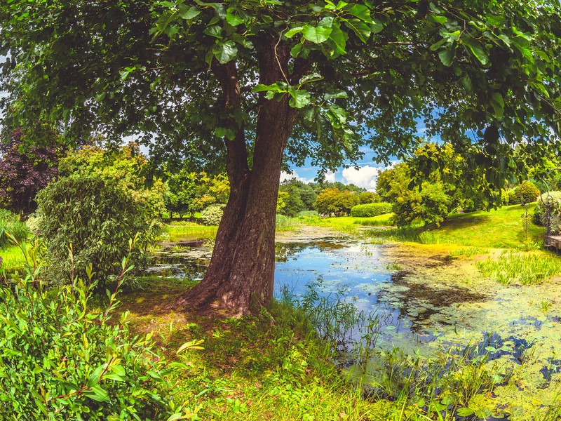 Из Пскова — в дивный Себеж и усадьбу Ореховно (5/15)