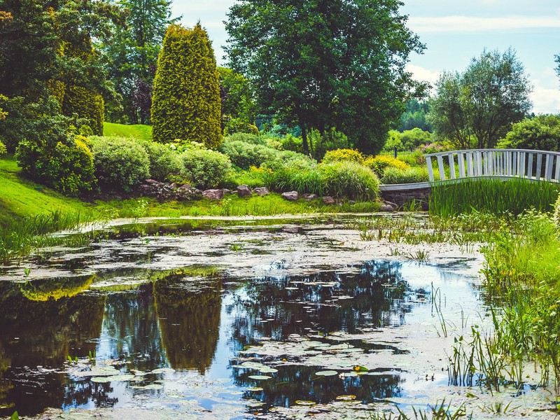 Из Пскова — в дивный Себеж и усадьбу Ореховно (4/15)