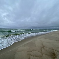 Фото отзыва 42: экскурсия "Загадочная Куршская коса" Фото отзыва 42: экскурсия "Загадочная Куршская коса"
