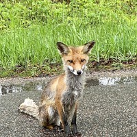 Фото отзыва 41: экскурсия "Загадочная Куршская коса" Фото отзыва 41: экскурсия "Загадочная Куршская коса"